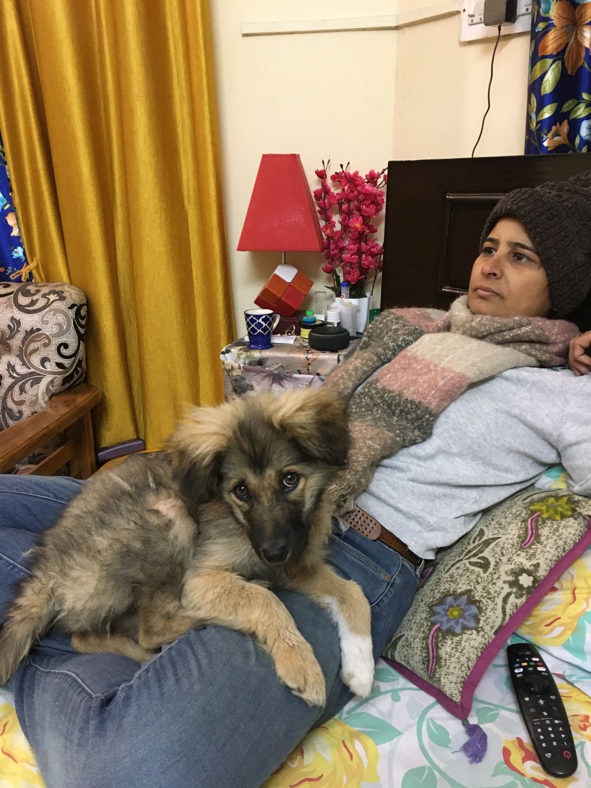 Manu sharing her love and tenderness with animals
